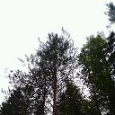 ���� ����, ����������, 60 ��� - ��������� 21 ����� 2020 � ������ ���� ����������