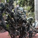 ���� Batjer, ���������, 60 ��� - ��������� 1 ��� 2020 � ������ ���� ����������