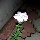 ���� ��������, ������ - ��������� 22 ���� 2020 � ������ ���� ����������