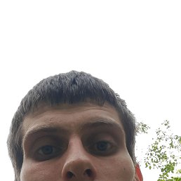 �������, ������, 37 ���