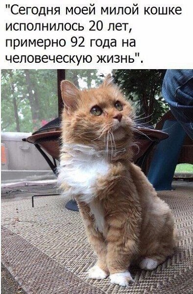 ������� - 24 ����� 2020 � 19:14