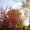 ���� ���������, �����������, 61 ��� - ��������� 2 ������ 2020