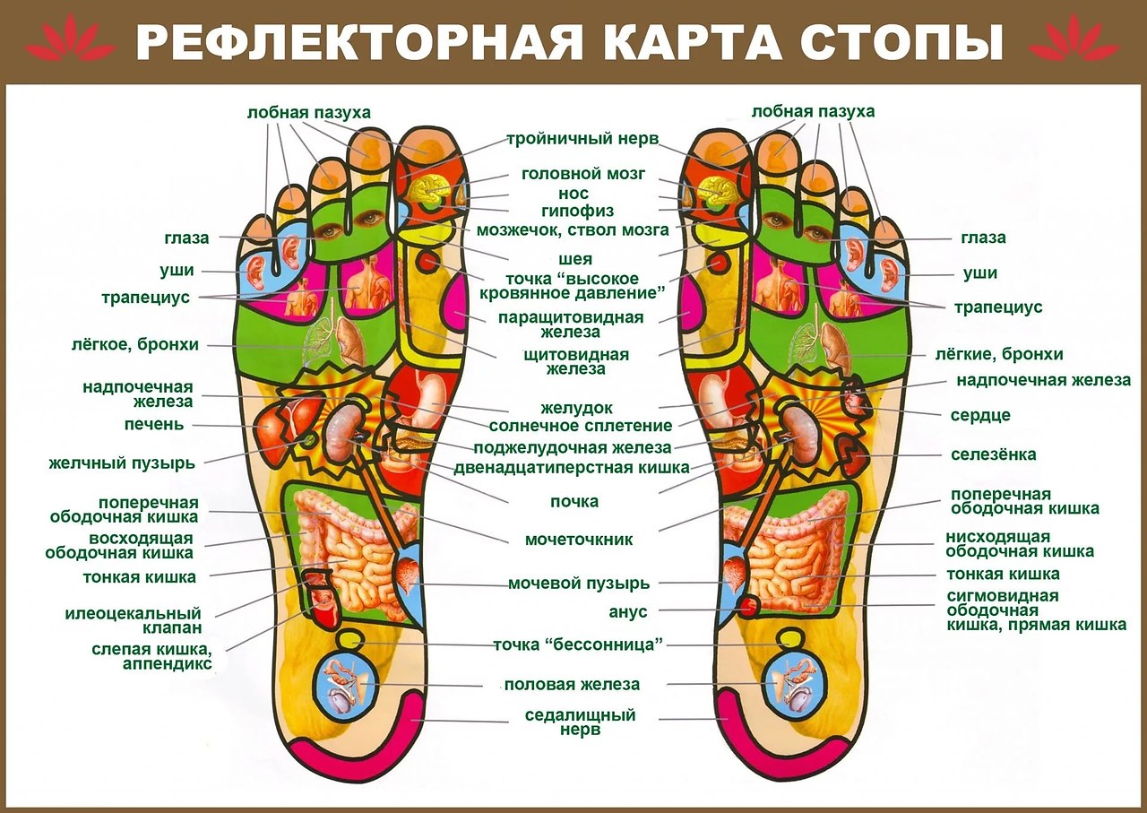 РЕФЛЕКСОЛОГИЯ СТОПЫ | Всё о здоровье | Фотострана | Пост №2105907158