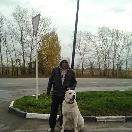 ����, �����������, 61 ���