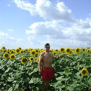 ������, 44 ����, �����