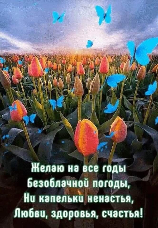 ����������� � ���������, �������� �� ������ ����. - 17 ������ 2020 � 21:09 - 7