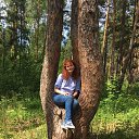 ���� ����, ���������, 42 ���� - ��������� 6 ���� 2020 � ������ ���� ����������