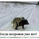 ���� ��������, �����-���������, 50 ��� - ��������� 11 ���� 2020 � ������ ������ ��������