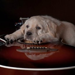 ���������, ������, 32 ����