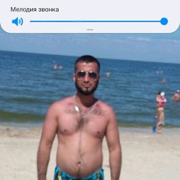���� �����, ������, 43 ���� - ��������� 2 ����� 2020
