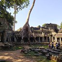 ���� �������, ������, 48 ��� - ��������� 6 ������ 2020 � ������ ���� ����������