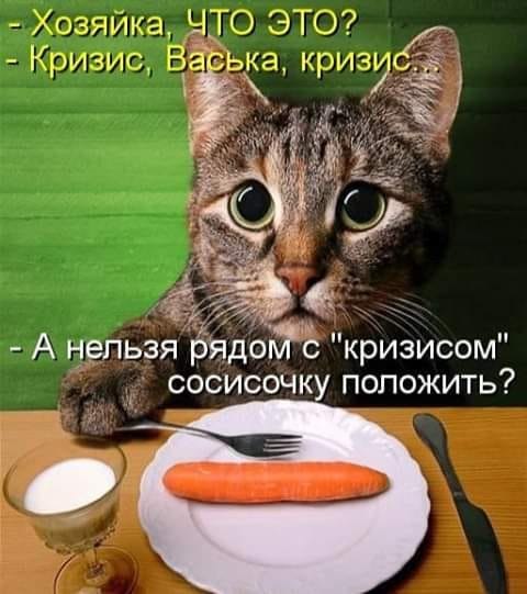 K�p��ka - 4 ��� 2020 � 19:49
