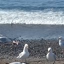 ���� ������, ������ - ��������� 3 ������ 2020 � ������ ���� ����������