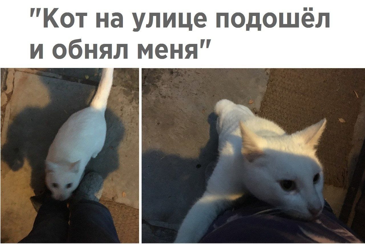������� - 21 ������� 2020 � 18:27