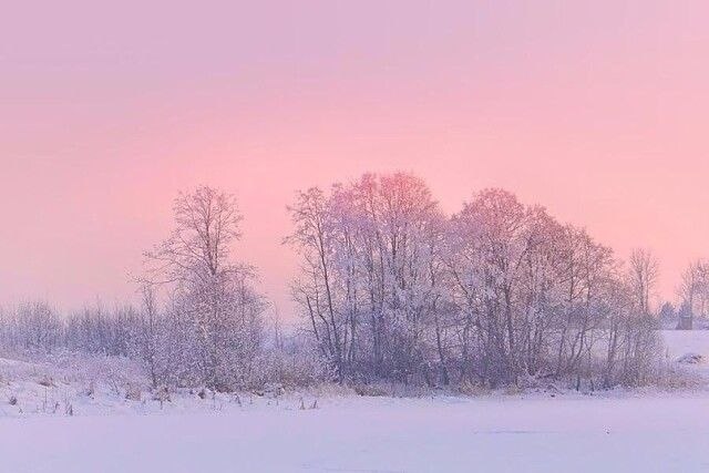 ������ ������� ������ | ����������� - 24 ����� 2020 � 19:06 - 6