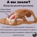 ���� ������, ������ - ��������� 26 ���� 2020 � ������ ���� ���������