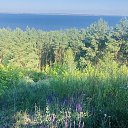 ���� Elena, ���������, 52 ���� - ��������� 22 ���� 2020 � ������ ���� ����������