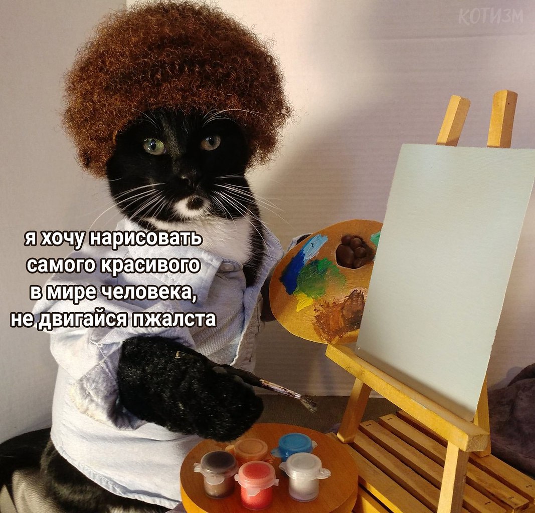 Котизм - 19 июля 2020 в 21:22