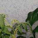 ���� ����, �������, 49 ��� - ��������� 20 ������� 2020 � ������ ��������� ��������