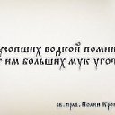 ���� ���, ������, 41 ��� - ��������� 20 ��� 2020 � ������ ���� ����������