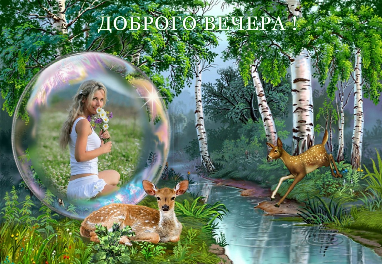   ,    . - 24  2020  16:57