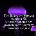 ���� Inga, ������, 52 ���� - ��������� 29 ���� 2020 � ������ ������ ��������