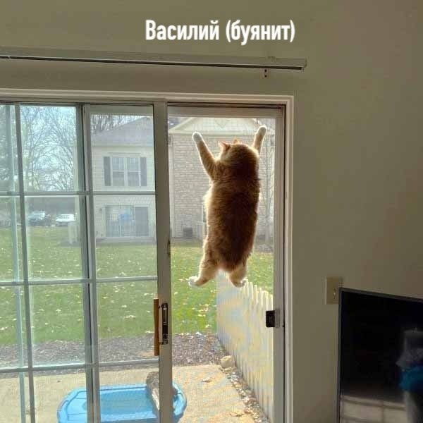 : 