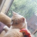 ���� Sparking, ������ - ��������� 8 ������ 2020 � ������ ���� ����������