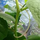 ���� ����, �������, 49 ��� - ��������� 8 ������� 2020 � ������ ��������� ��������