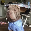 ���� ����, ��������, 37 ��� - ��������� 27 ������� 2020 � ������ ���� ����������