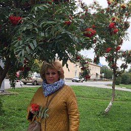 ����, ��������, 61 ���