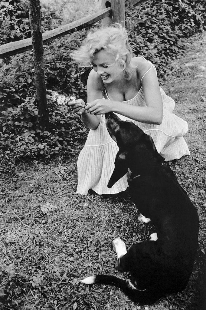 M Moo, 1957.  o? - 7