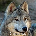 ���� �������, �������, 44 ���� - ��������� 12 ������� 2020 � ������ ���� ����������