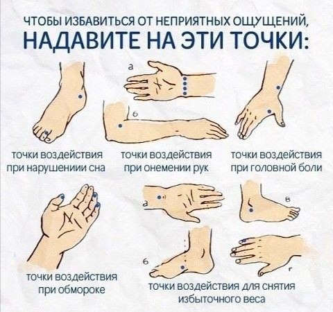 �������� �������� ����� - 17 ���� 2020 � 19:09