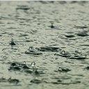 ���� �������, ���������, 47 ��� - ��������� 19 ��� 2020 � ������ ������ ��������