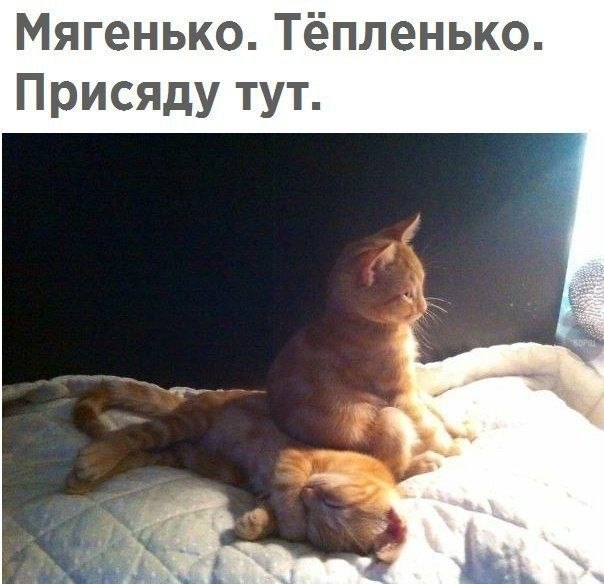 ������� - 17 ����� 2020 � 18:46