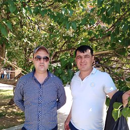 �����, �����-���������, 44 ����