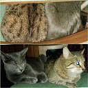 ���� Rina, �����-���������, 53 ���� - ��������� 26 ������ 2020 � ������ ���� ��� ������ ����� )�