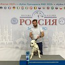 ���� ������, ������ - ��������� 10 ���� 2020