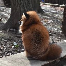 �����, ������, 34 ����