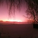  ,  , 63  -  29  2020    