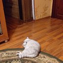 ���� ������, �������� ���, 59 ��� - ��������� 16 ����� 2020 � ������ ���� ����������