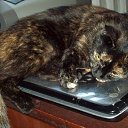 ���� �����, �����������, 67 ��� - ��������� 29 ������ 2020 � ������ ���� ����������