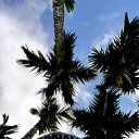 ���� ������, ��������, 47 ��� - ��������� 17 ������ 2020 � ������ ���� ����������