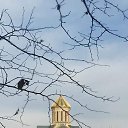 ���� Mamuka, �������, 57 ��� - ��������� 1 ������� 2020 � ������ ������ ��������