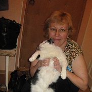 ������, 66 ���, �����