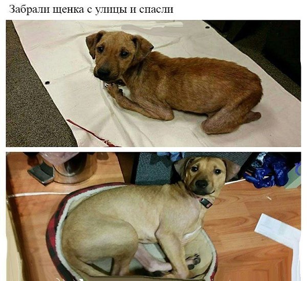 ������� - 14 ������ 2020 � 18:27