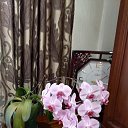 ���� �����, ���������, 54 ���� - ��������� 12 ������� 2020 � ������ ���� ����������