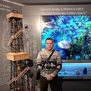 ���� �������, ������, 47 ��� - ��������� 29 ������ 2020 � ������ ���� ����������