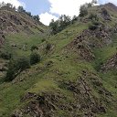 ���� ����, ���������, 52 ���� - ��������� 3 ������� 2020 � ������ �������